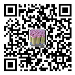 扫描下载